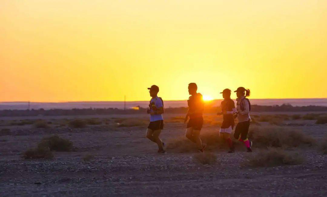 刘小东在戈壁再一次感受青春热血戈15英雄谱