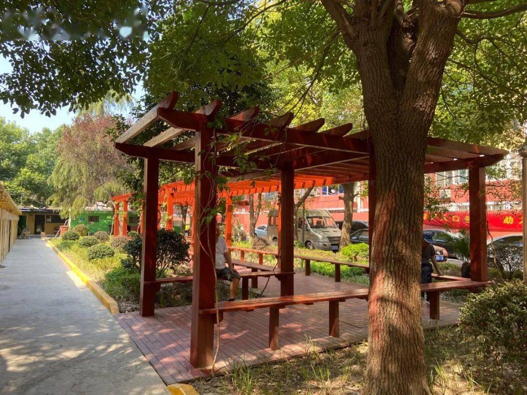 这样美的老旧小区,爱了,爱了!