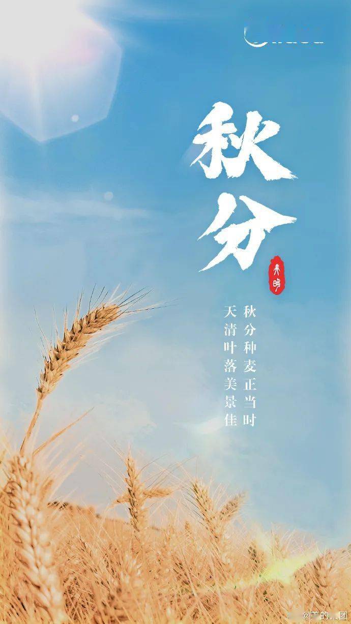 这波秋分海报真有点凉