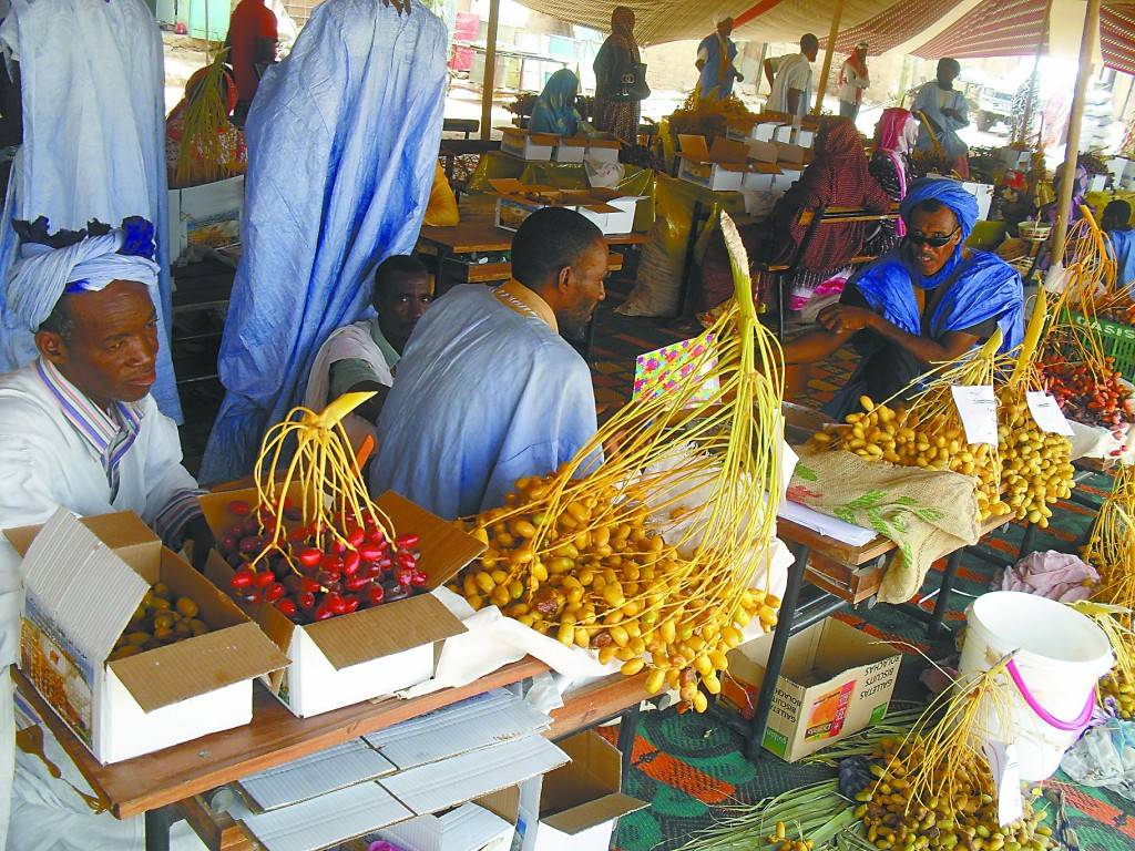 椰枣,毛里塔尼亚驼队的甜蜜干粮