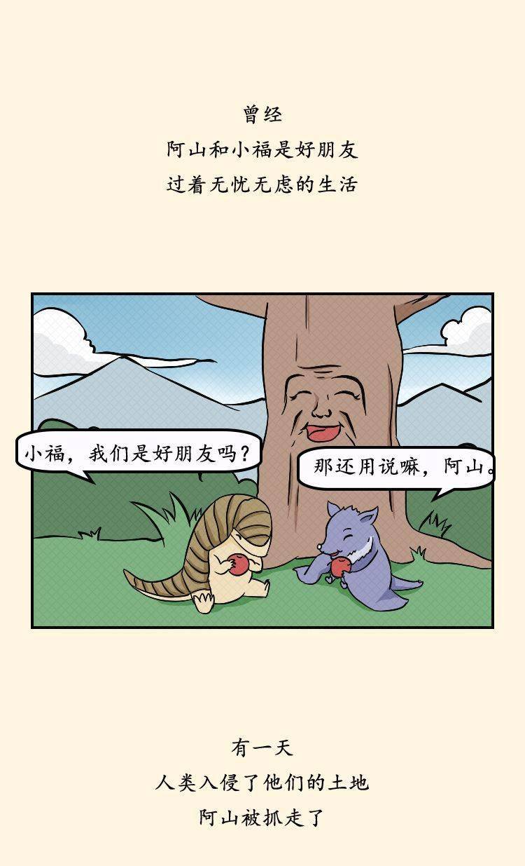 "公民十条"漫画 | 呵护自然生态 保护野生动植物