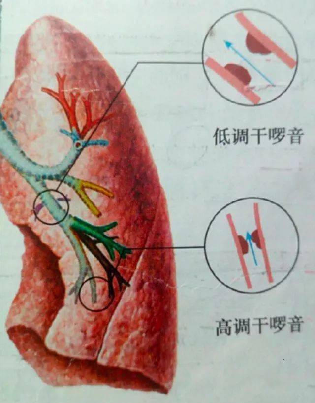 想要呼吸音音频