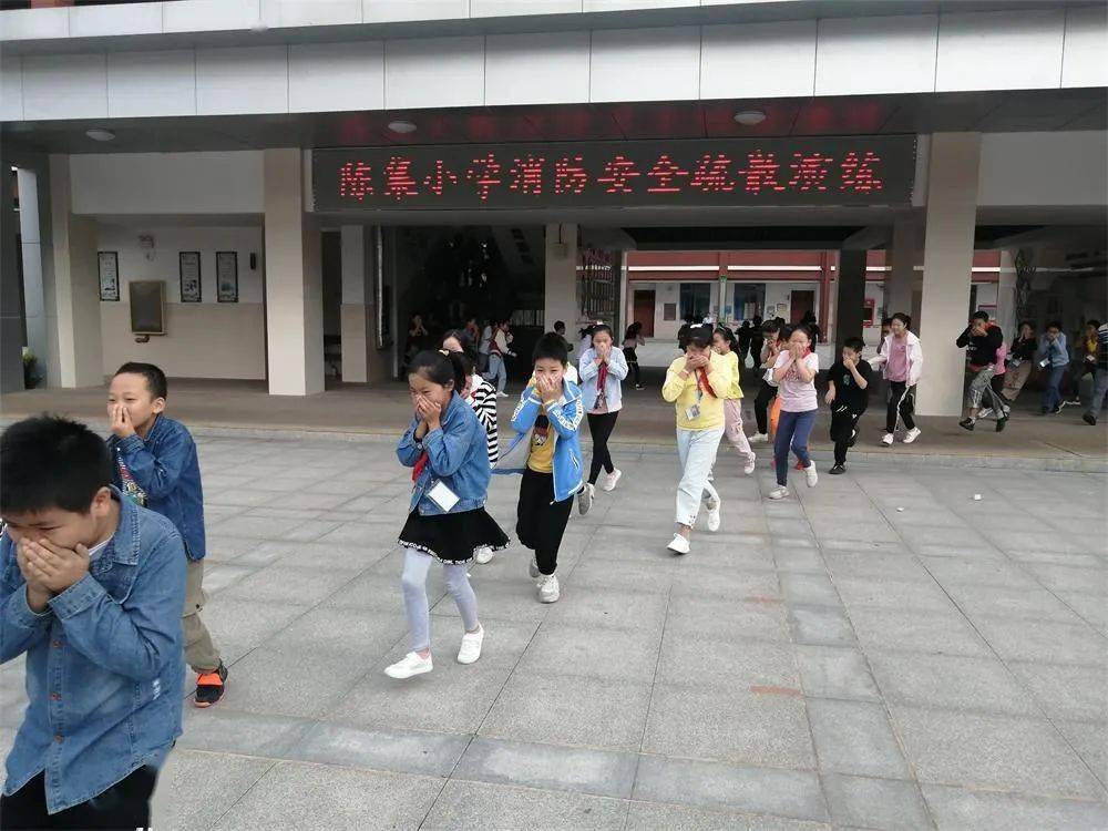 陈集镇陈集小学图片