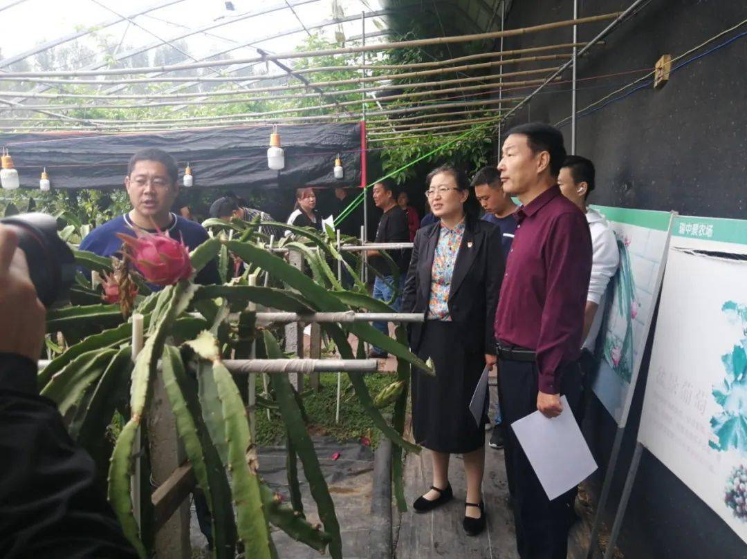 滦南县举办助推乡村振兴新媒体大咖采风活动