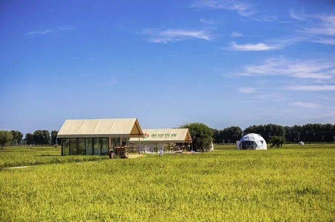 爱上内蒙古 | 兴安稻计时 | 义勒力特稻田风光别样美