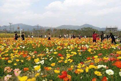 那裡花開主題公園是集生態旅遊,休閒度假,餐飲美食,親子游樂,科普教育