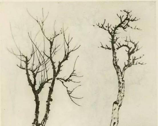 【国画教程】怎样画树？不妨看看这里_树木