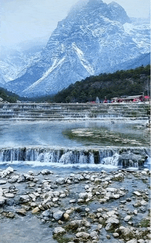 311_500竖版 竖屏gif 动态图 动图