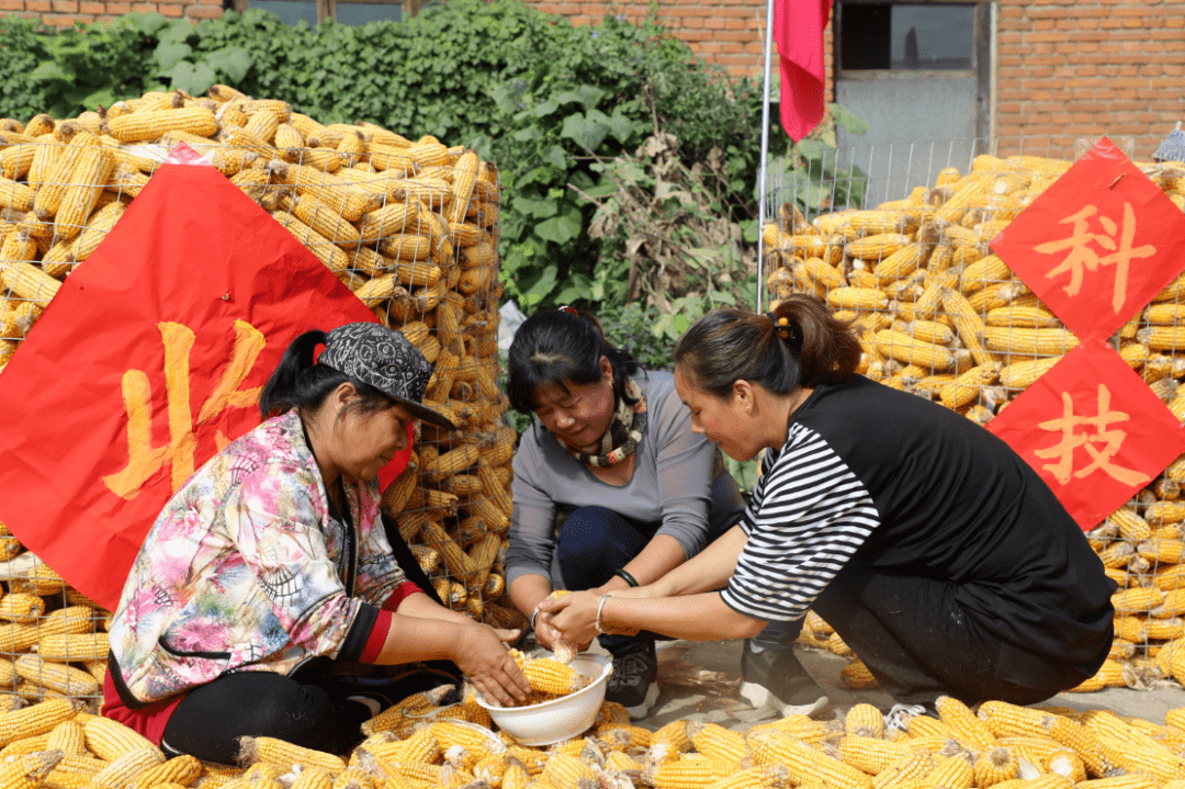 7, 安全才是最近的路平青大贾官营路段发生两车相撞事故,平青大车流量