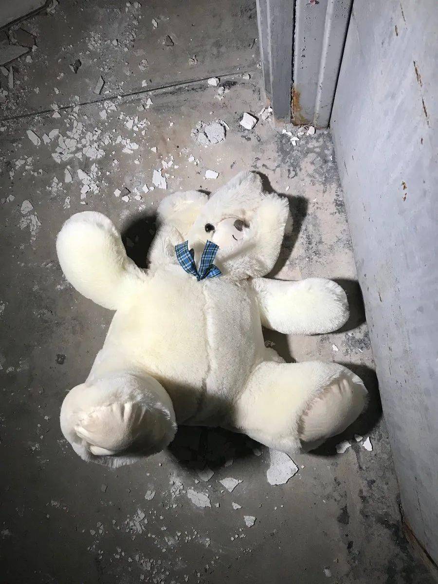 玩偶们的心声,你听过吗?_玩具