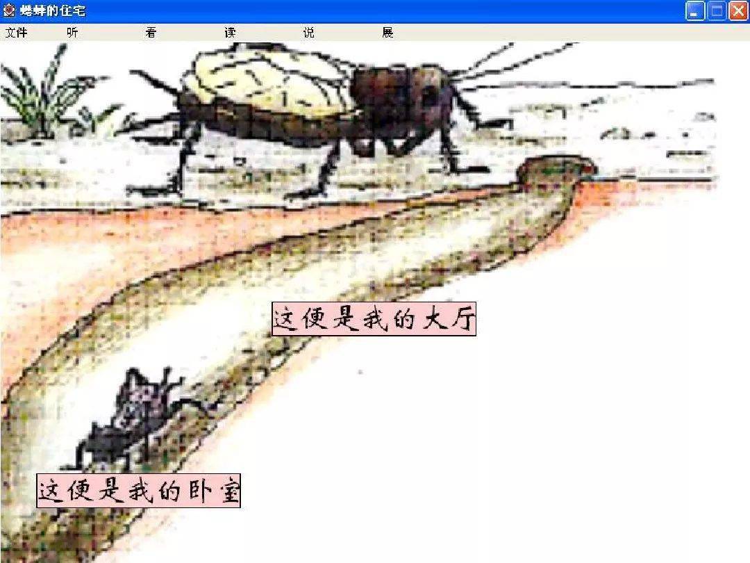 蟋蟀洞的结构图图片