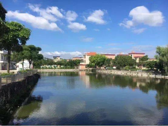 四会这条村真厉害先后有51人在科举中取得功名ta出圈的秘诀是