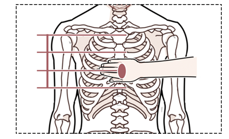 也就是胸骨中下1/3处一般取两乳头连线中点第二步,确认按压位置第一步