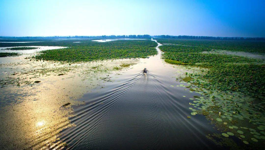 投资30亿!10年建设!这片宝藏怕是藏不住了……_洪湖