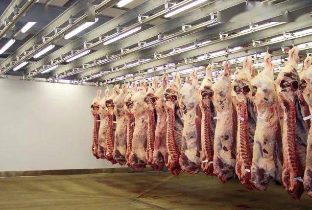 美国"牛肉屠宰场"到底有多先进?活牛进去,出来就变成牛排!_手机搜狐网
