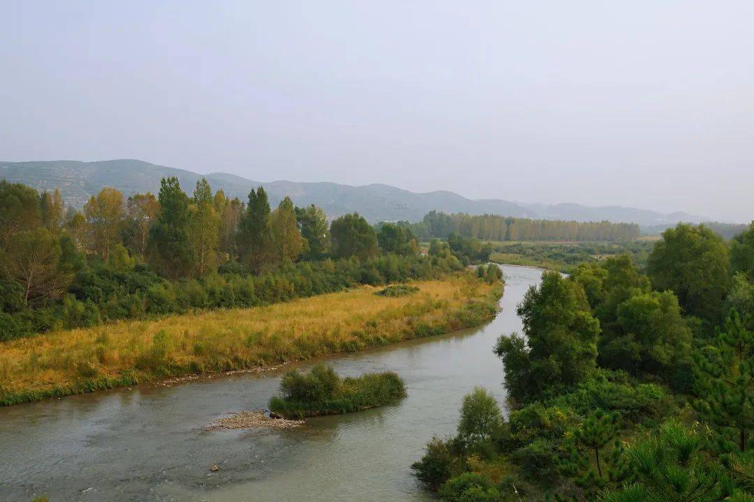 山西省忻州市靜樂縣汾河川國家溼地公園 王陽攝