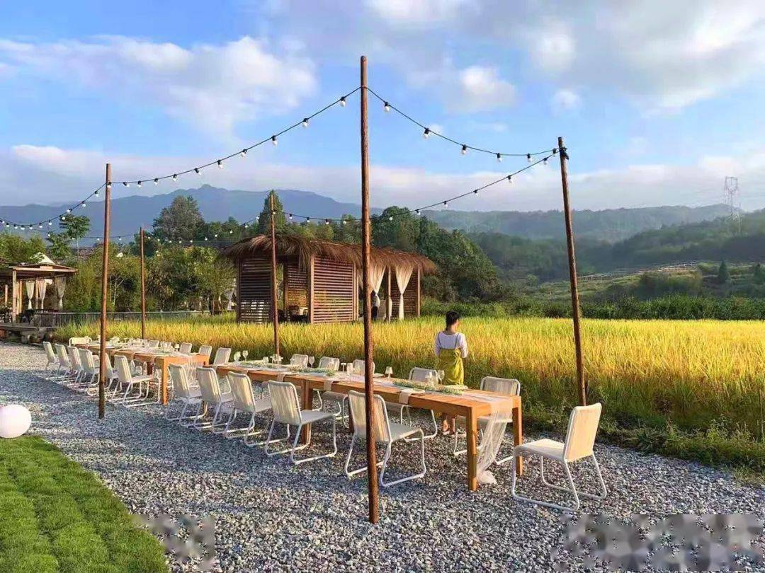 走起美食民宿露营泰顺这个地方都有