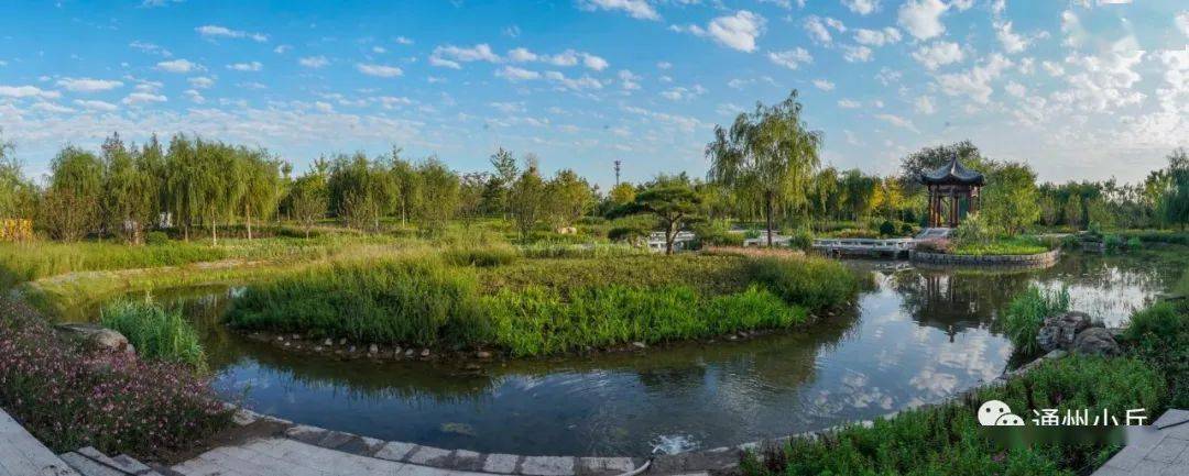 城市綠心森林公園明天開園,怎麼玩看這裡…_遊園