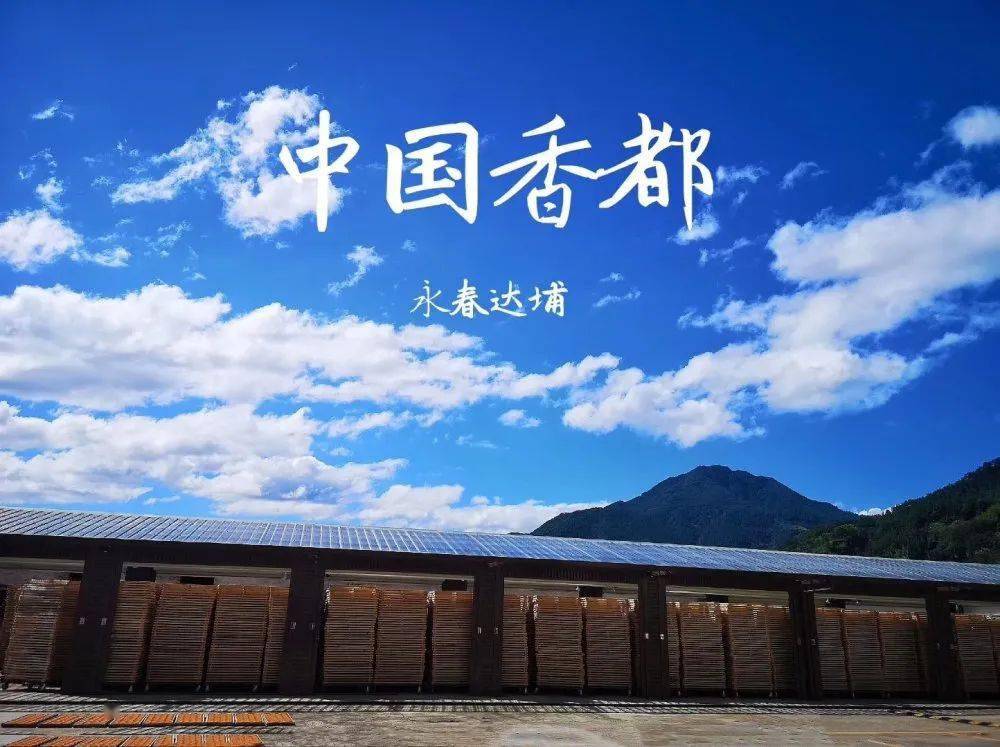 有一种生活叫永春香约永春醋醋精彩