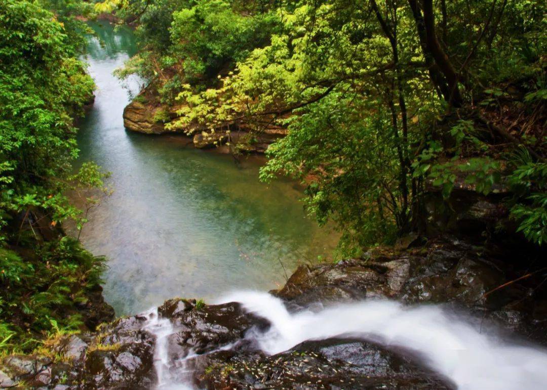 鹤山市龙潭山风景区,位于龙潭山生态自然保护区市属松林场内,属于山清
