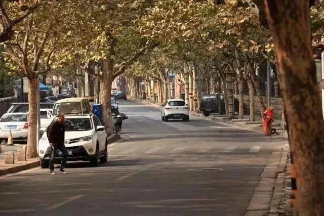 人文青岛 | 回眸上海路,这里早已桃李芬芳