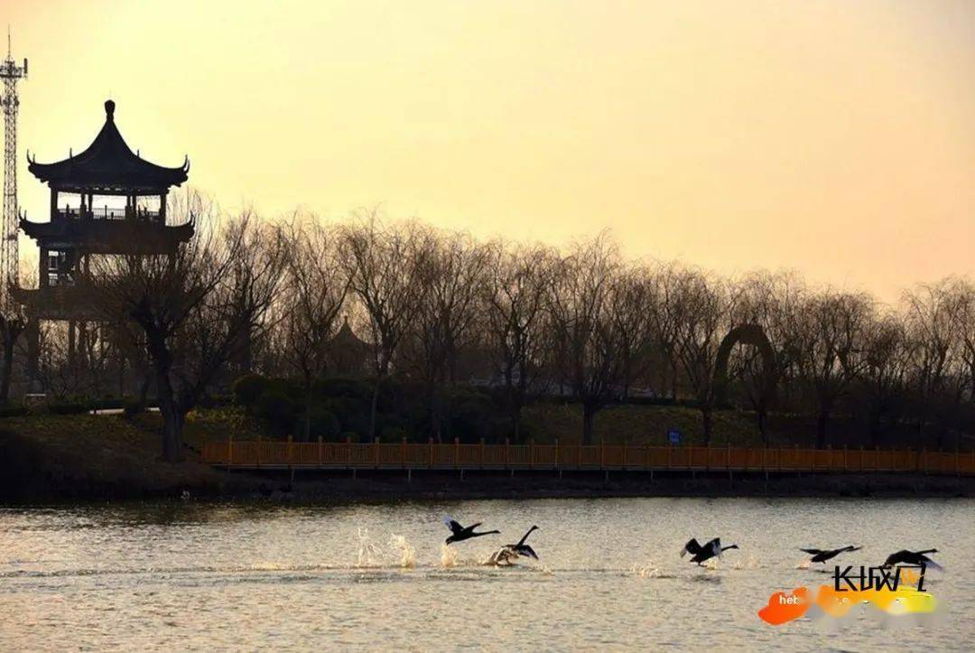 水乡这是邯郸的鹅城广平