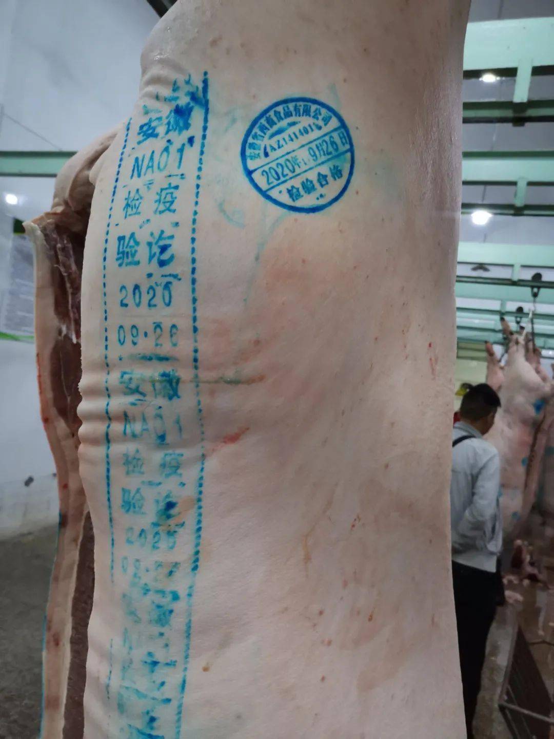 猪肉质检合格盖章图片