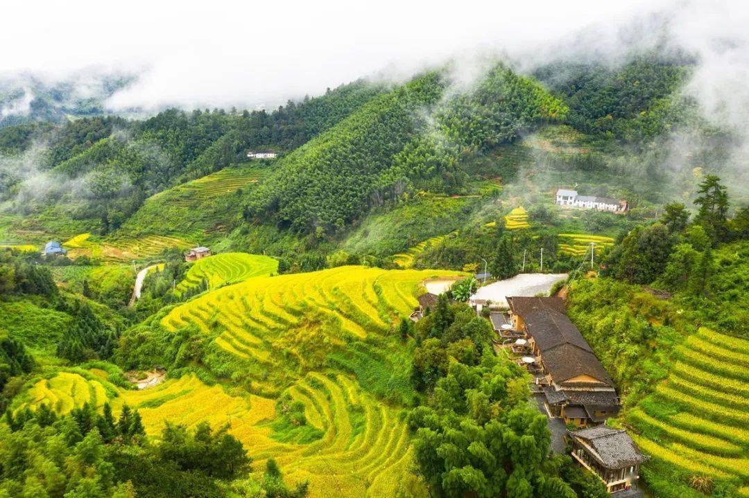 守護上堡梯田 守護田園老家