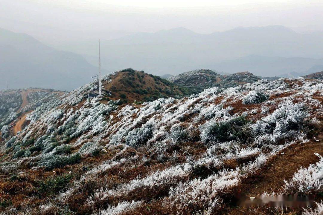 十一國慶黃金週到大金山遊玩體驗登高望遠