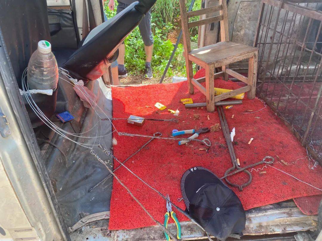 还敢平南邻县有人偷狗出事了当场被活捉