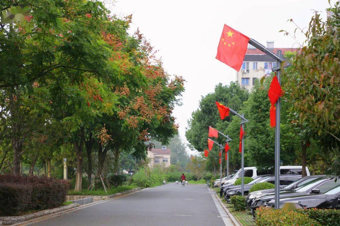 街道两旁,商铺门前悬挂着国旗江陵大街小巷也悄然发生着变化喜迎新