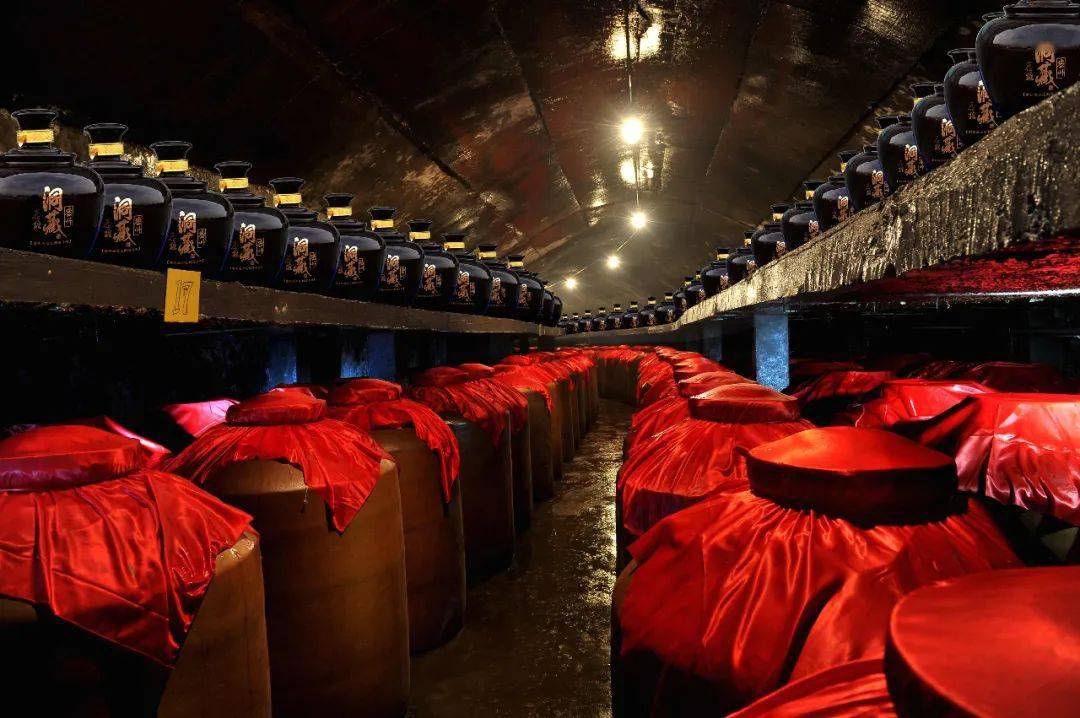 带你探秘封坛大典鼠宝宝印记