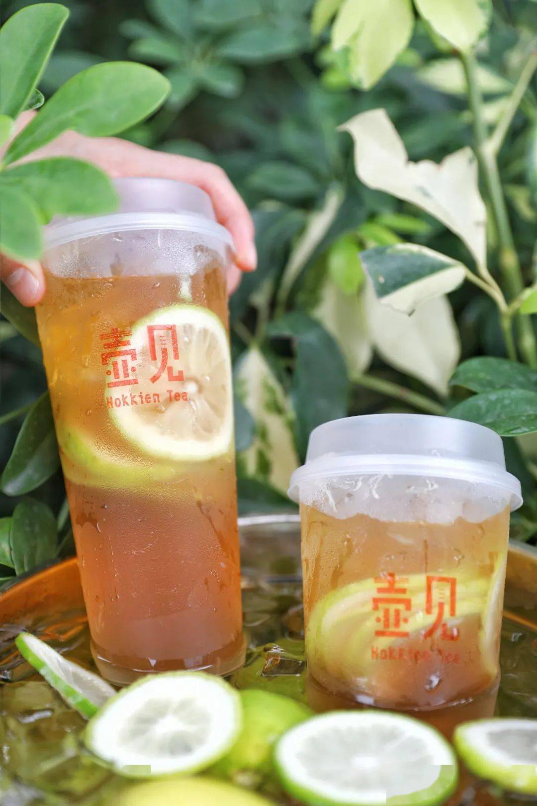 免费喝买一送一秋天的第①杯奶茶就去壶见喝