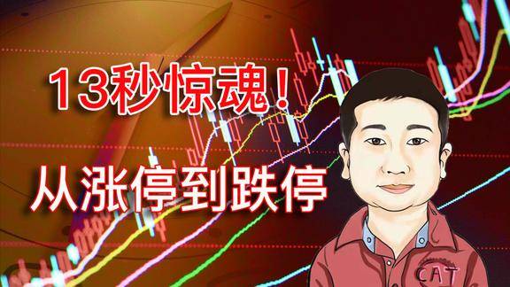 仅仅13秒从涨停板到跌停板a股市场散户股民如何操作新股