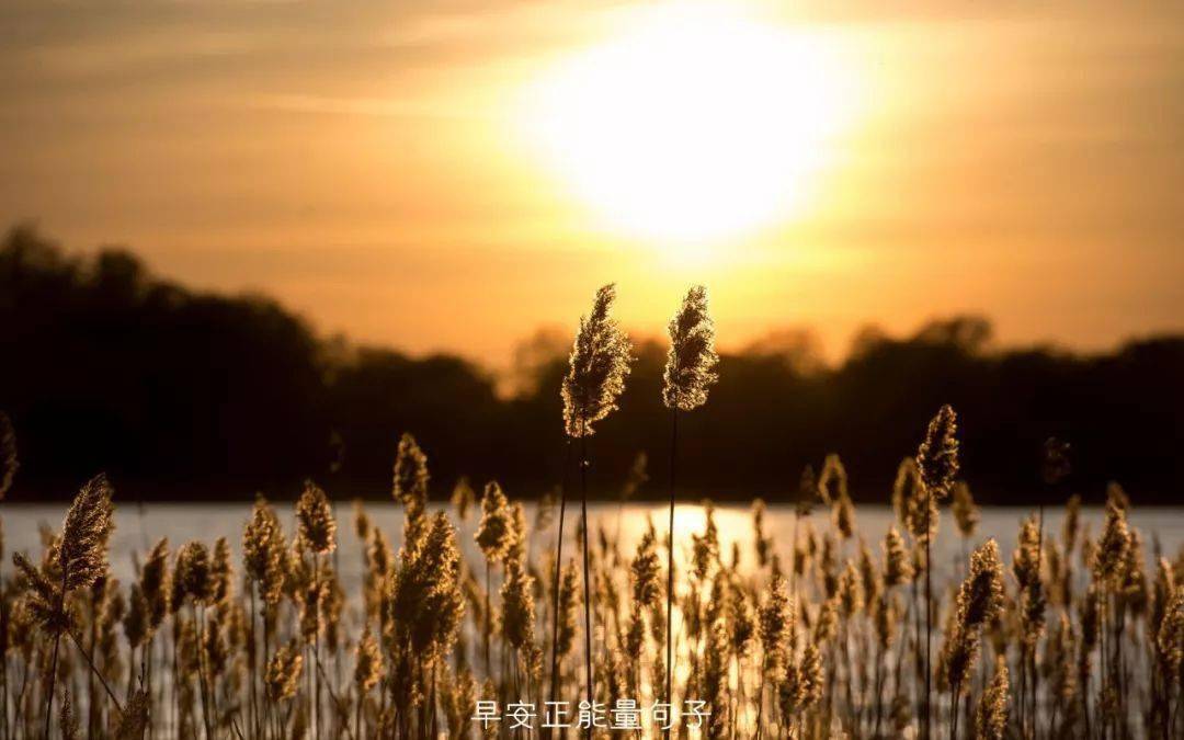 不管發生什麼事,都請安靜且愉快地接受人生,勇敢地,大膽地,而且永遠地