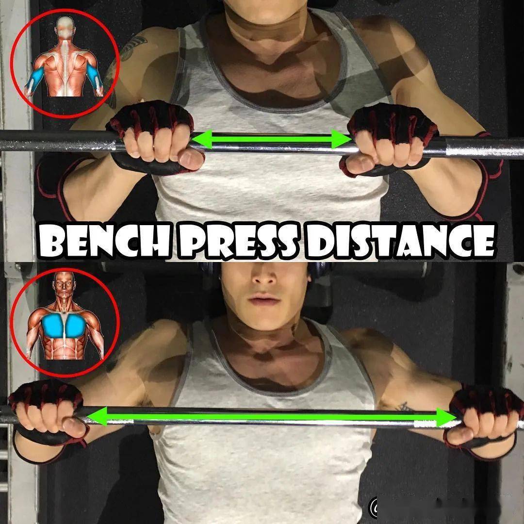 怎么把肌肉线条练完美?你需要这种图谱