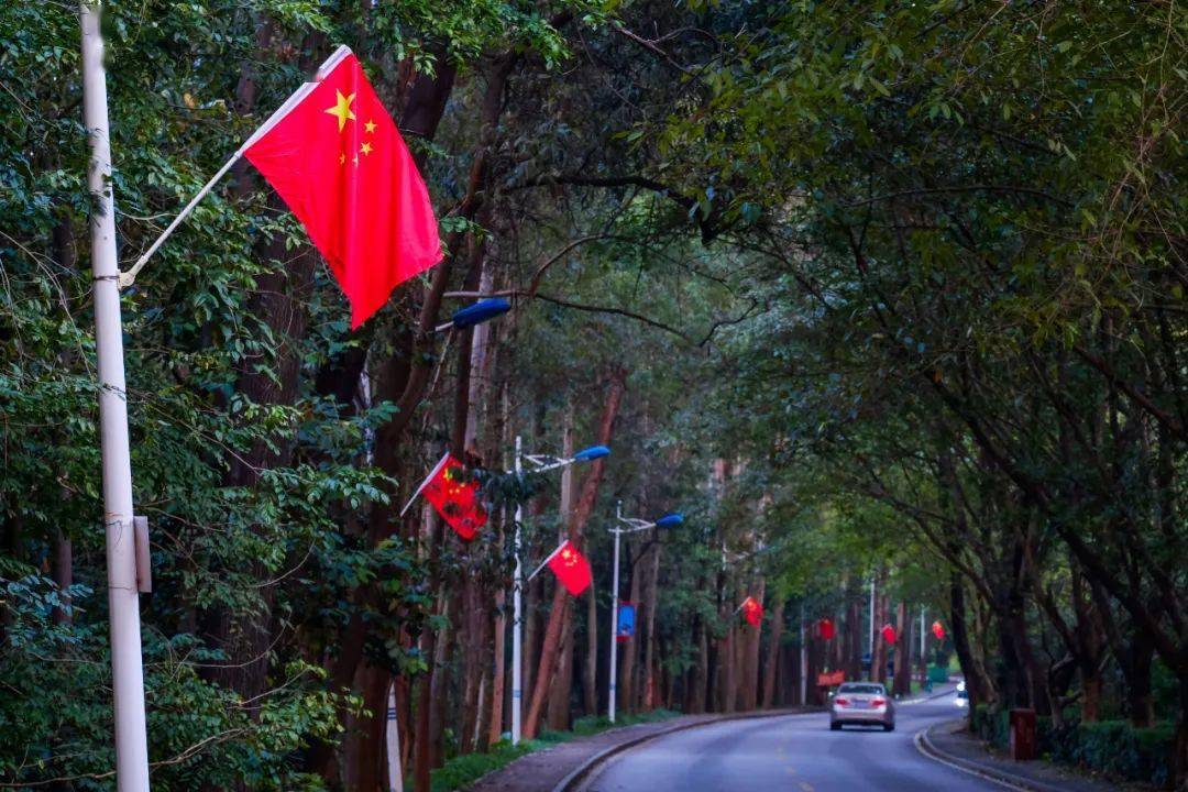 道路两侧的灯柱都挂上了五星红旗.