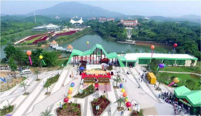 对不起,今年国庆中秋节我回了化州!_旅游