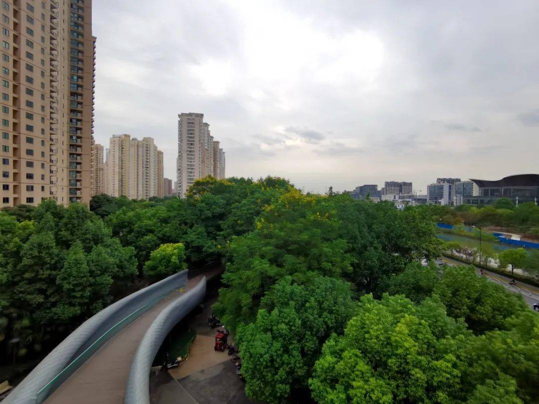 巡游苏河明珠登高望远空中漫步长宁有条老嗲额景观步廊