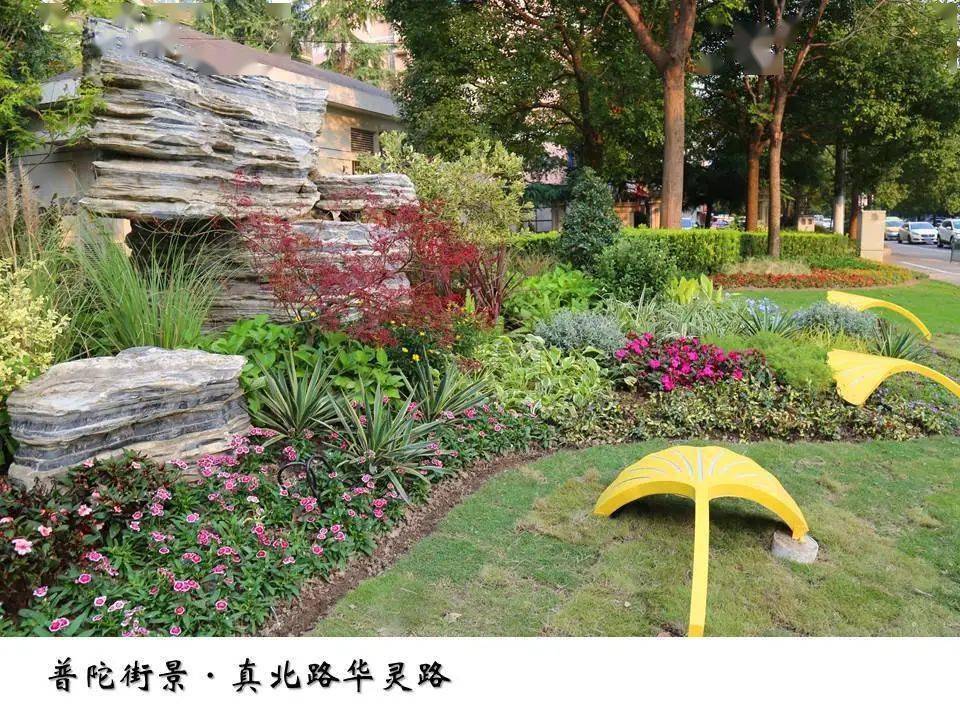 四季有花,普陀的"转角"不仅仅是"绿化,更是"彩化!