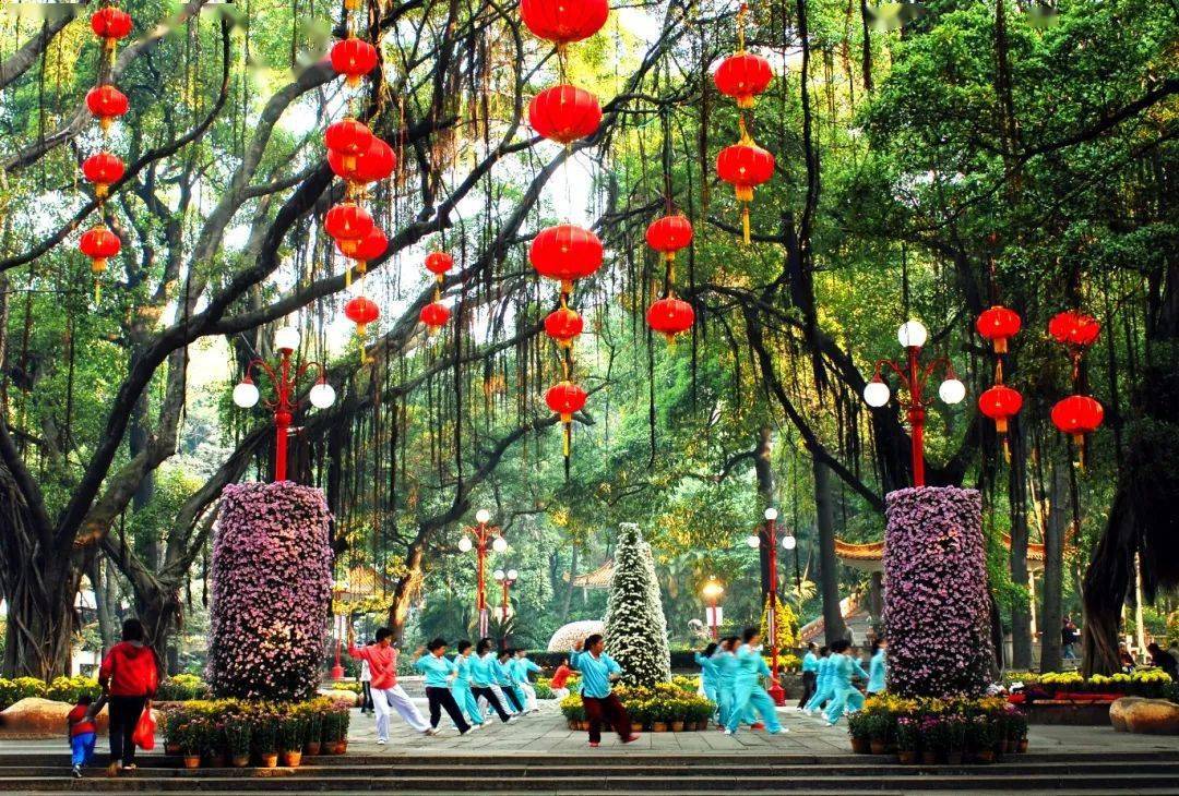 国庆假期游中山小榄这些特色游玩路线动静皆宜适合亲子