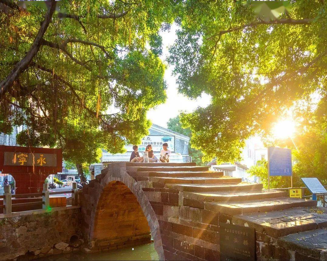 国庆假期游中山小榄这些特色游玩路线动静皆宜适合亲子