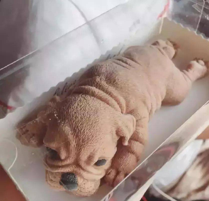 冰淇淋版狗狗,这么可爱的样子你忍心吃吗?