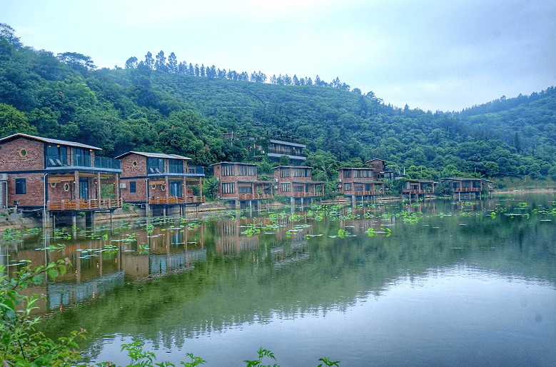 国庆黄金周乡村游成新选择,新兴这个农场美得像一幅画!