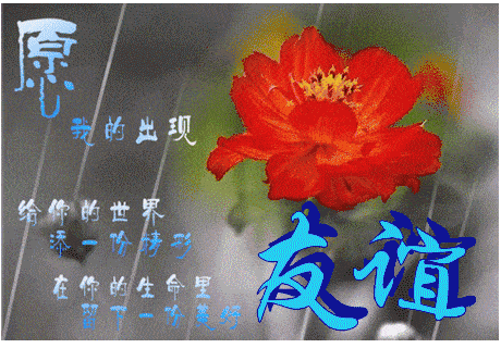 《放下是一种解脱》听醉了 ~如果你累了,听听这首歌吧!_亲爱的朋友