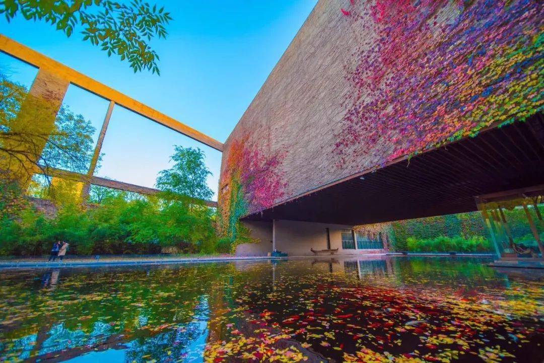 重磅中国第一所现代大学125岁了