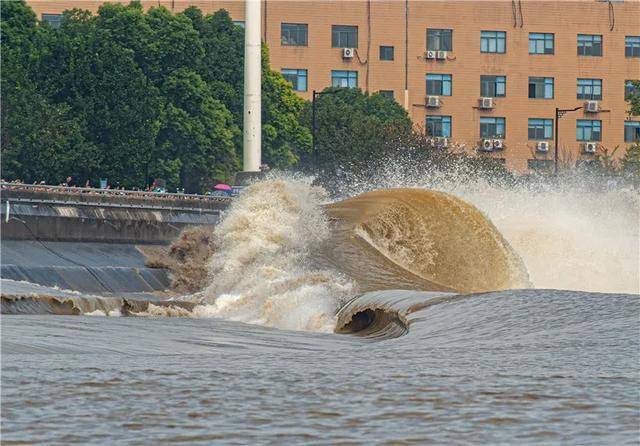 今天的钱塘江潮特别猛_潮水