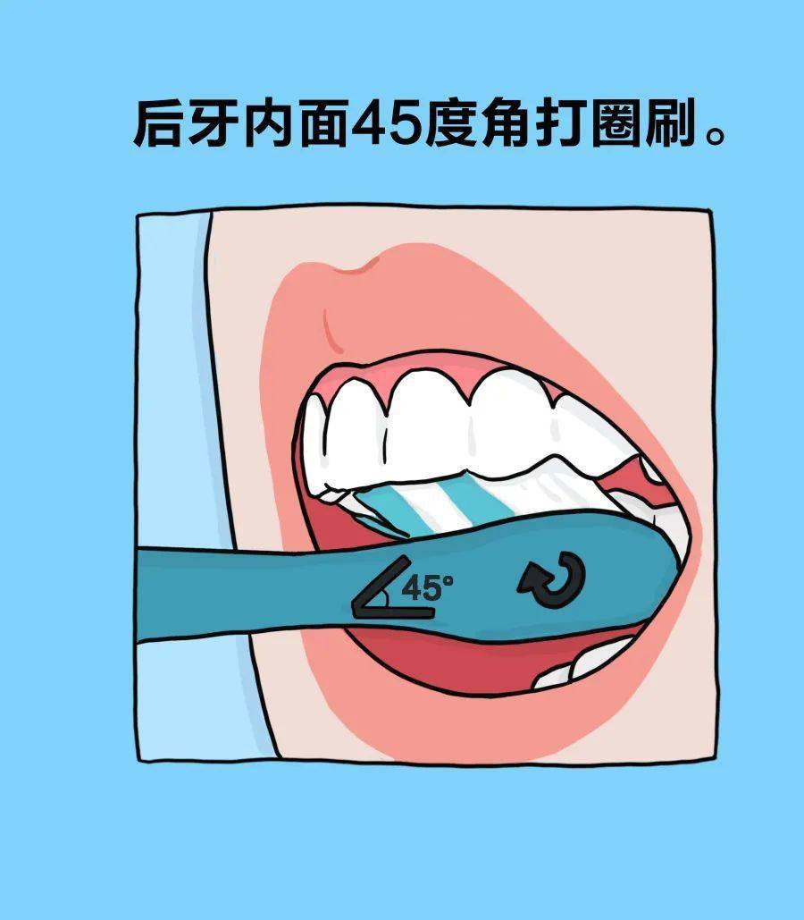 发布的标准刷牙方法,建议学习下面由中华口腔医学会好 好 刷 牙!