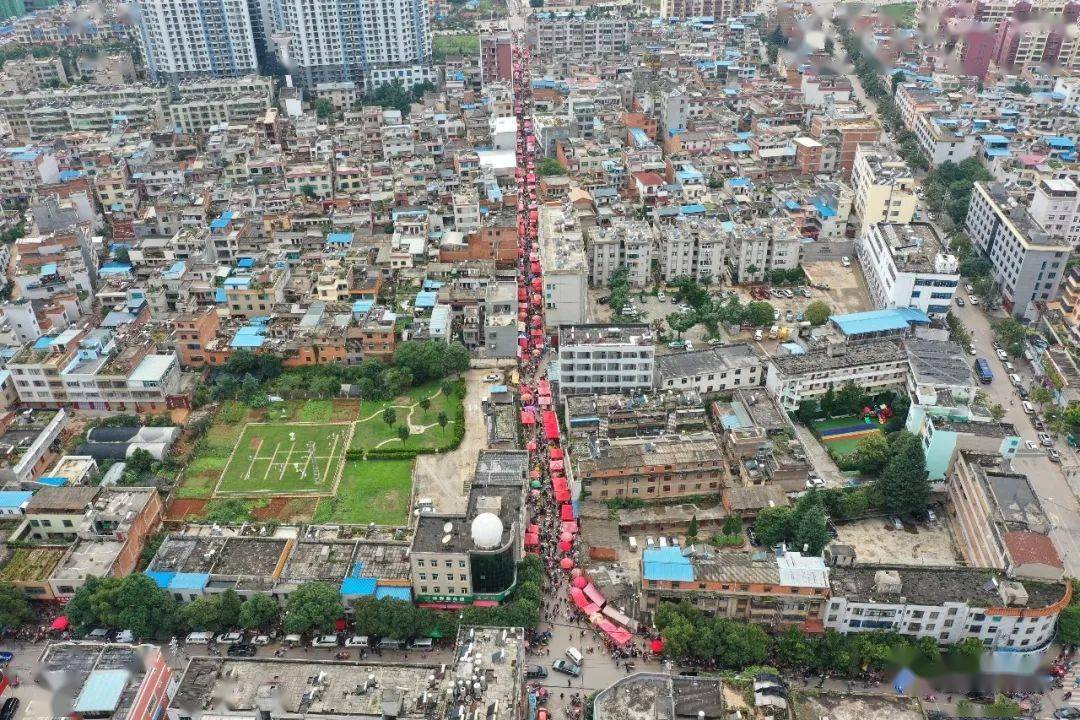 宣威花鸟街图片