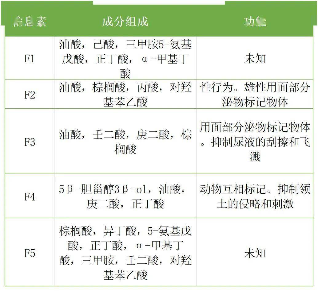 信息素气味大全图片